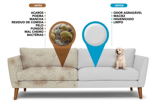 loja-do-profissional-lavegem-higienizacao-sofa-limpo-evita-problemas-de-saude-doencas-acaros-poeiras-alergias-7